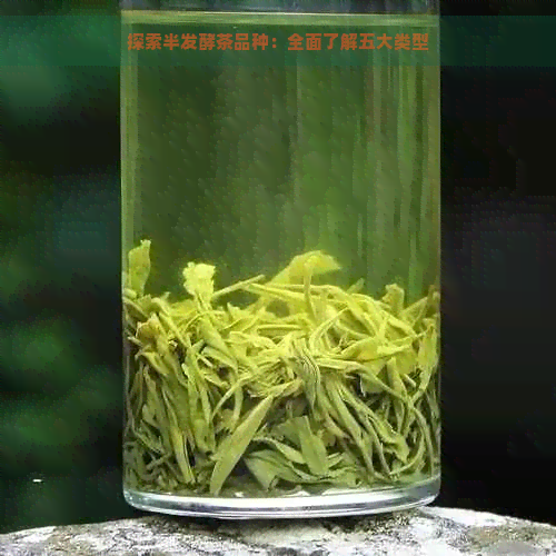 探索半发酵茶品种：全面了解五大类型