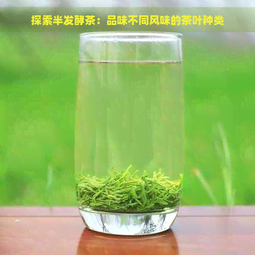 探索半发酵茶：品味不同风味的茶叶种类