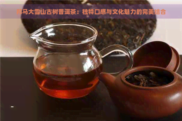 邦马大雪山古树普洱茶：独特口感与文化魅力的完美结合