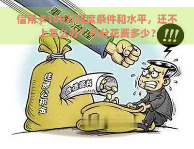 信用卡100万额度条件和水平，还不上怎么办？积分花费多少？