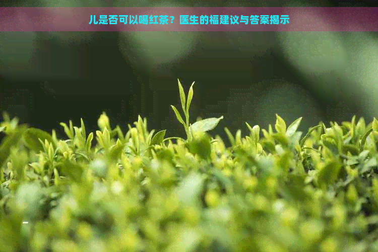 儿是否可以喝红茶？医生的福建议与答案揭示