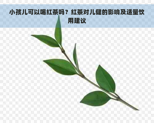 小孩儿可以喝红茶吗？红茶对儿健的影响及适量饮用建议