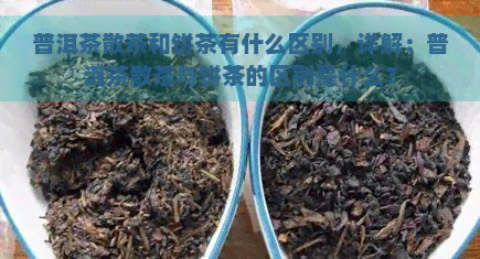 普洱茶散茶和饼茶有什么区别，详解：普洱茶散茶与饼茶的区别是什么？