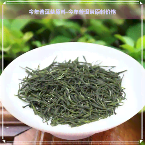 今年普洱茶原料-今年普洱茶原料价格