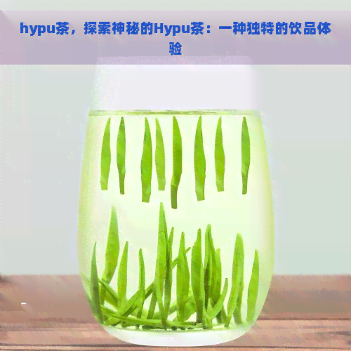 hypu茶，探索神秘的Hypu茶：一种独特的饮品体验