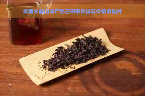 云南大雪山原产地古树茶叶批发价格及图片