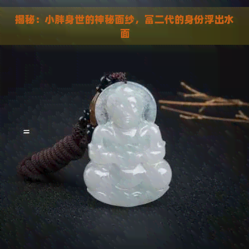 揭秘：小胖身世的神秘面纱，富二代的身份浮出水面