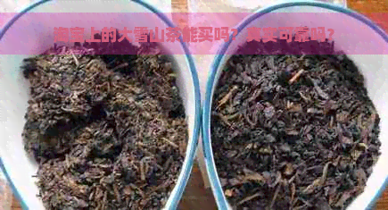 淘宝上的大雪山茶能买吗？真实可靠吗？