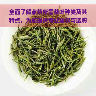 全面了解点茶所需茶叶种类及其特点，为您提供专业建议与选购指南