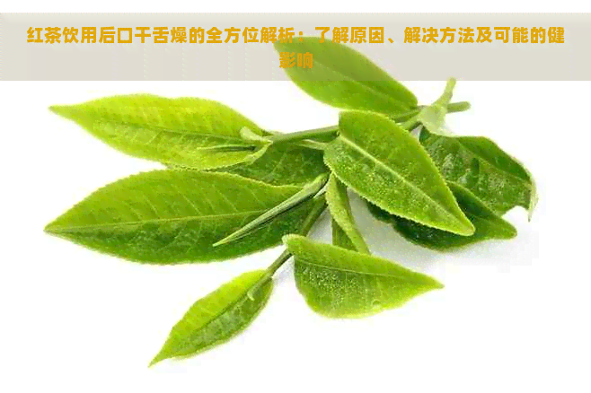 红茶饮用后口干舌燥的全方位解析：了解原因、解决方法及可能的健影响