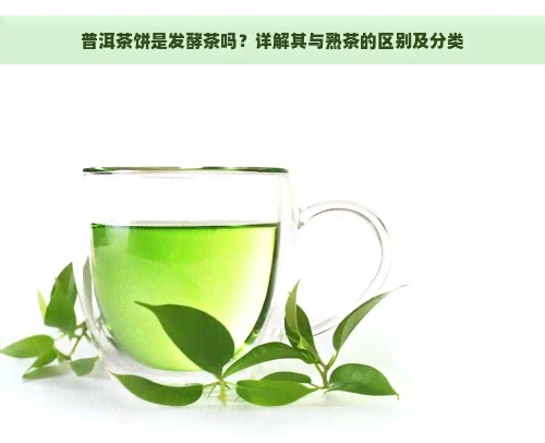 普洱茶饼是发酵茶吗？详解其与熟茶的区别及分类