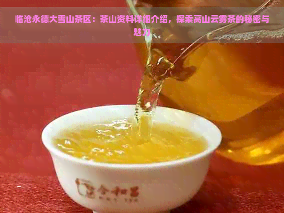 临沧永德大雪山茶区：茶山资料详细介绍，探索高山云雾茶的秘密与魅力