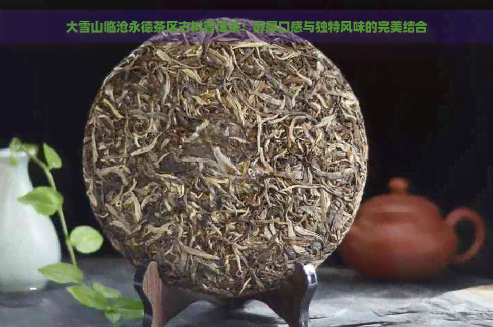 大雪山临沧永德茶区古树普洱茶：醇厚口感与独特风味的完美结合