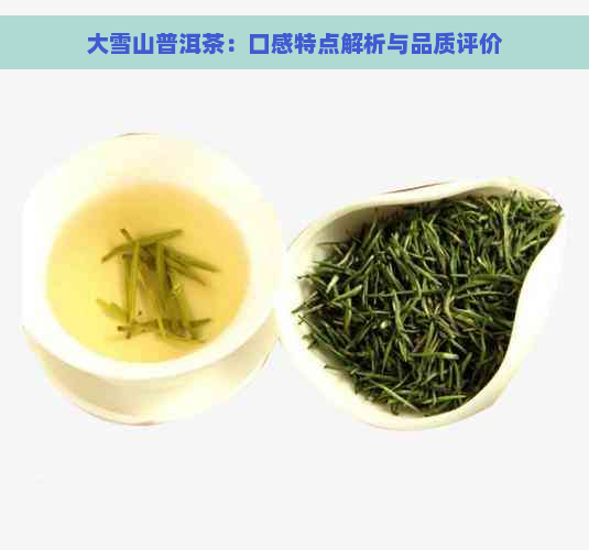 大雪山普洱茶：口感特点解析与品质评价