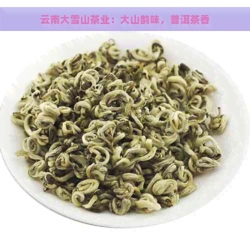 云南大雪山茶业：大山韵味，普洱茶香