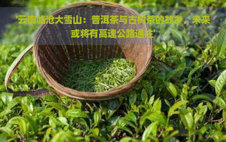 '云南临沧大雪山：普洱茶与古树茶的故乡，未来或将有高速公路通往'