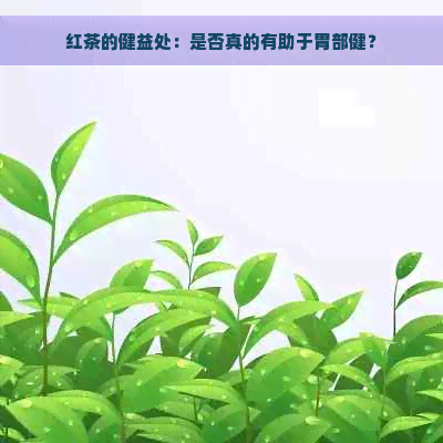 红茶的健益处：是否真的有助于胃部健？