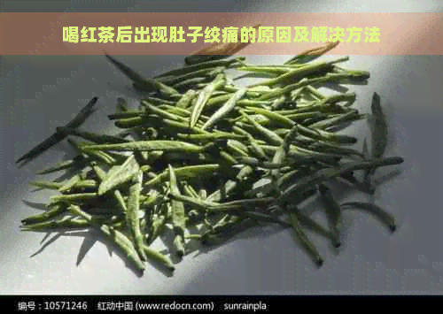 喝红茶后出现肚子绞痛的原因及解决方法