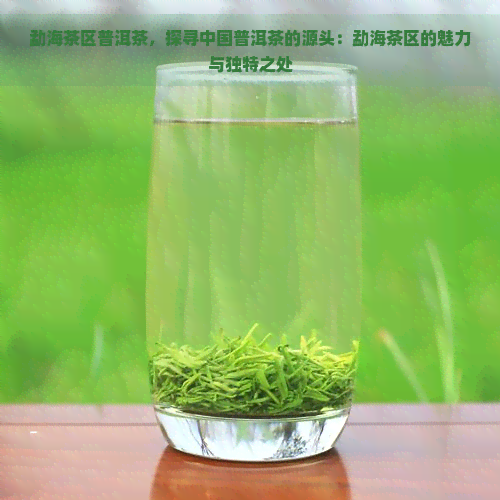 勐海茶区普洱茶，探寻中国普洱茶的源头：勐海茶区的魅力与独特之处