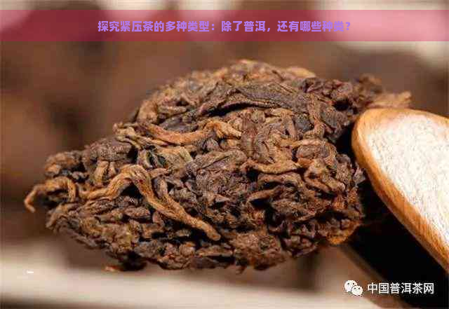 探究紧压茶的多种类型：除了普洱，还有哪些种类？