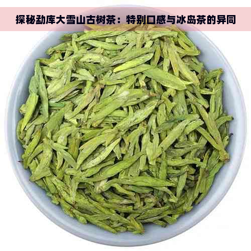 探秘勐库大雪山古树茶：特别口感与冰岛茶的异同