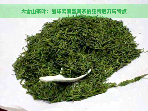 大雪山茶叶：品味云南普洱茶的独特魅力与特点