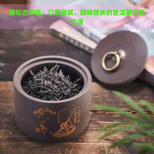 曼松古树茶：口感细腻，回味悠长的普洱茶品鉴之道