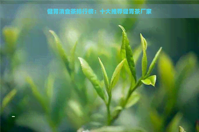 健胃消食茶排行榜：十大推荐健胃茶厂家