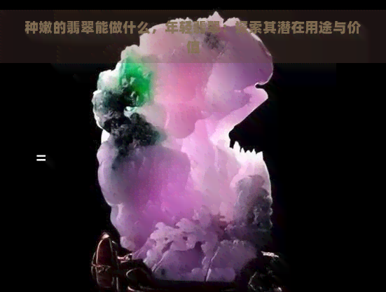 种嫩的翡翠能做什么，年轻翡翠：探索其潜在用途与价值