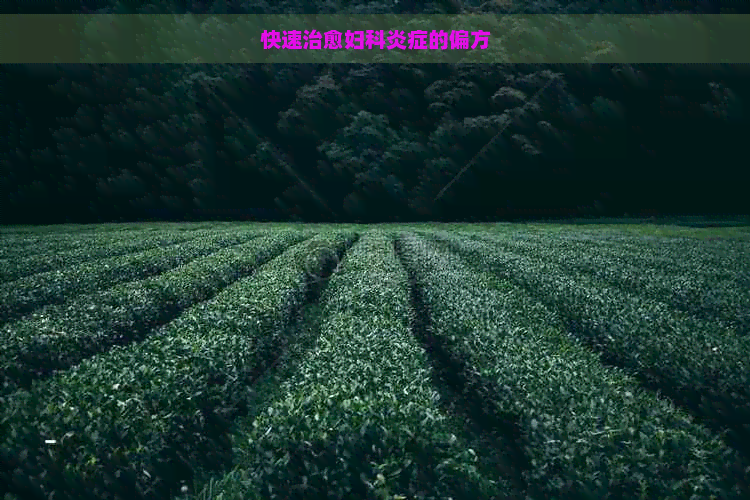 快速治愈妇科炎症的偏方