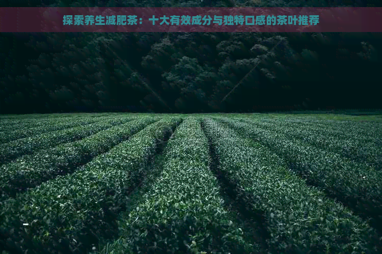 探索养生减肥茶：十大有效成分与独特口感的茶叶推荐