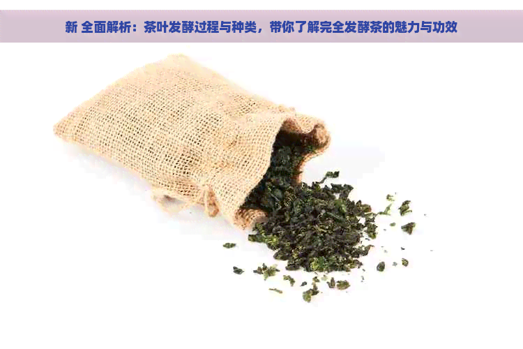 新 全面解析：茶叶发酵过程与种类，带你了解完全发酵茶的魅力与功效