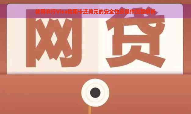 使用农行Visa信用卡还美元的安全性及操作流程解析