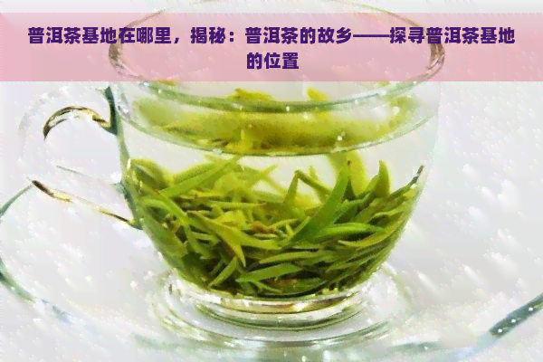 普洱茶基地在哪里，揭秘：普洱茶的故乡——探寻普洱茶基地的位置