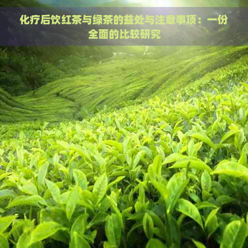 化疗后饮红茶与绿茶的益处与注意事项：一份全面的比较研究