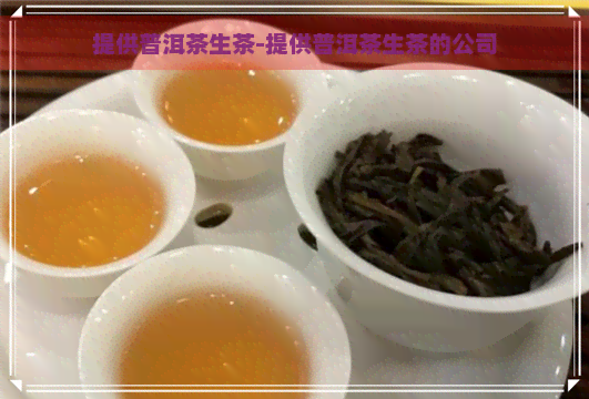 提供普洱茶生茶-提供普洱茶生茶的公司