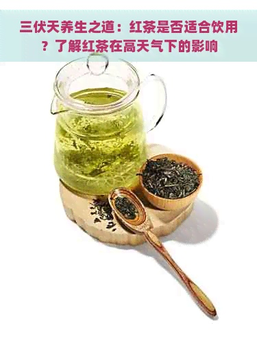 三伏天养生之道：红茶是否适合饮用？了解红茶在高天气下的影响