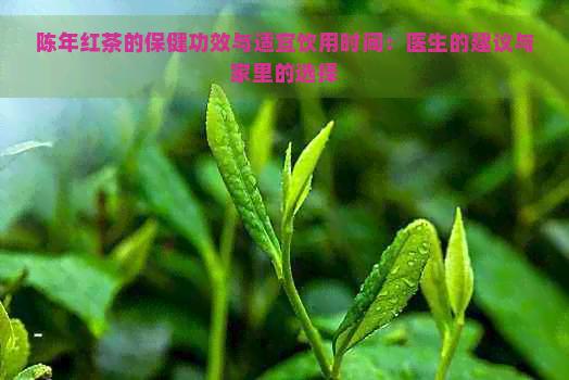 陈年红茶的保健功效与适宜饮用时间：医生的建议与家里的选择