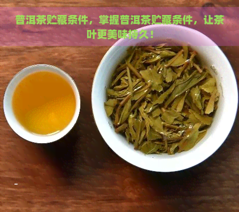 普洱茶贮藏条件，掌握普洱茶贮藏条件，让茶叶更美味持久！