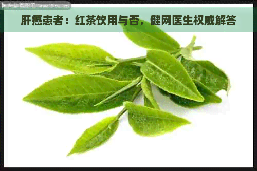 肝癌患者：红茶饮用与否，健网医生权威解答