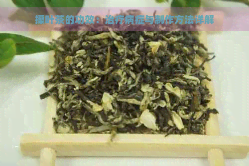 搡叶茶的功效：治疗病症与制作方法详解