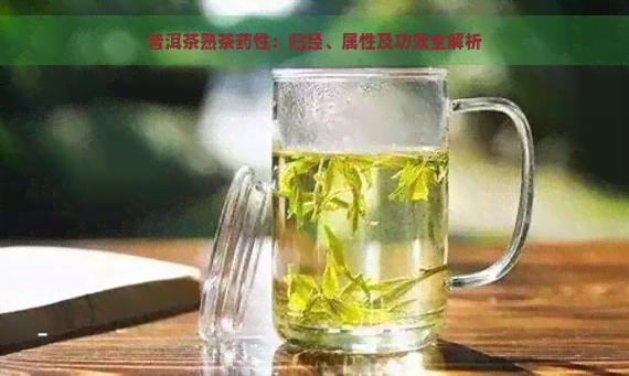 普洱茶熟茶药性：归经、属性及功效全解析