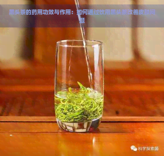 黑头茶的药用功效与作用：如何通过饮用黑头茶改善皮肤问题