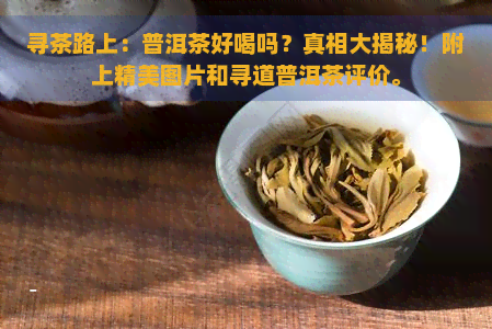 寻茶路上：普洱茶好喝吗？真相大揭秘！附上精美图片和寻道普洱茶评价。