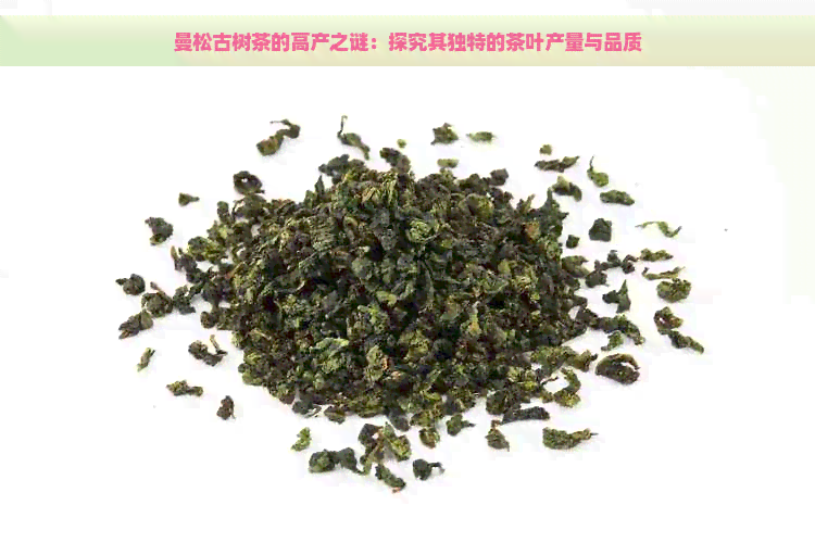 曼松古树茶的高产之谜：探究其独特的茶叶产量与品质