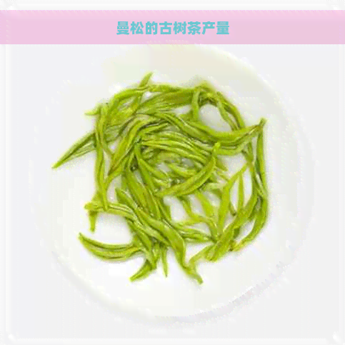 曼松的古树茶产量