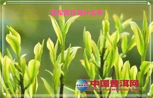 曼松贡饼是什么茶