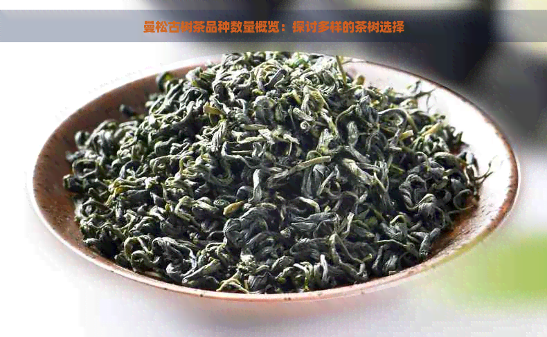 曼松古树茶品种数量概览：探讨多样的茶树选择