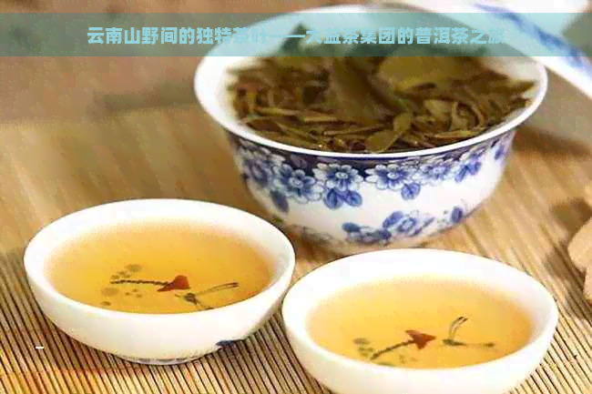 云南山野间的独特茶叶——大益茶集团的普洱茶之旅