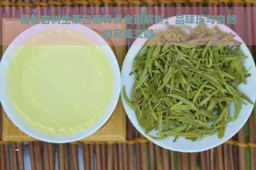 曼松古树生茶口感特点全面解析：品味历与自然的完美交融